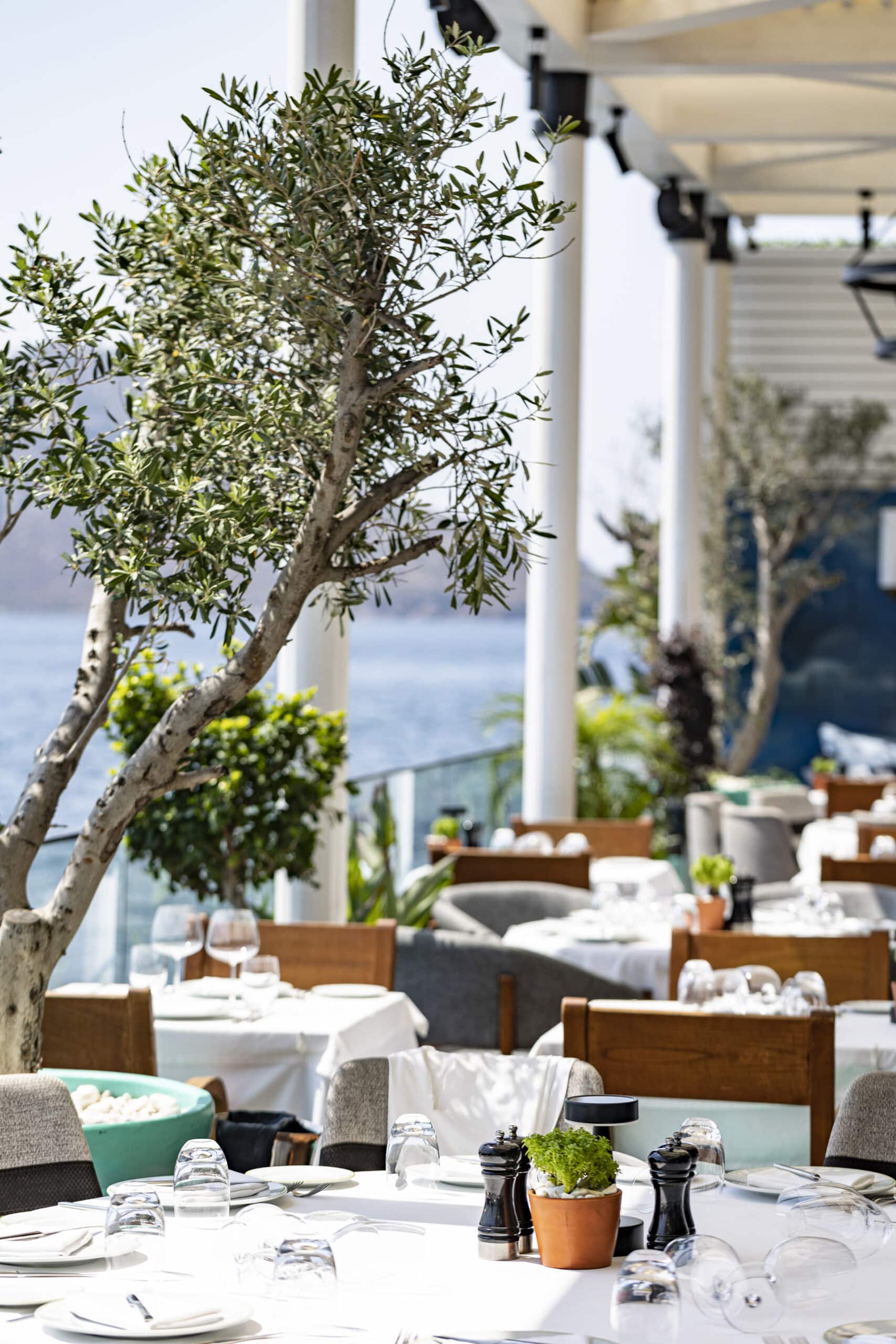 Novikov Asian Bodrum - Yalıkavak Marina'nın Uzak Doğu Restaurantı 1 DAS5950